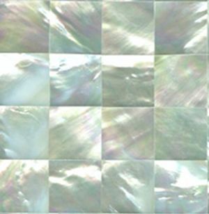 Jewelry fashion interior design - inspired White Mother of Pearl Seahell Tile Squares.jpg